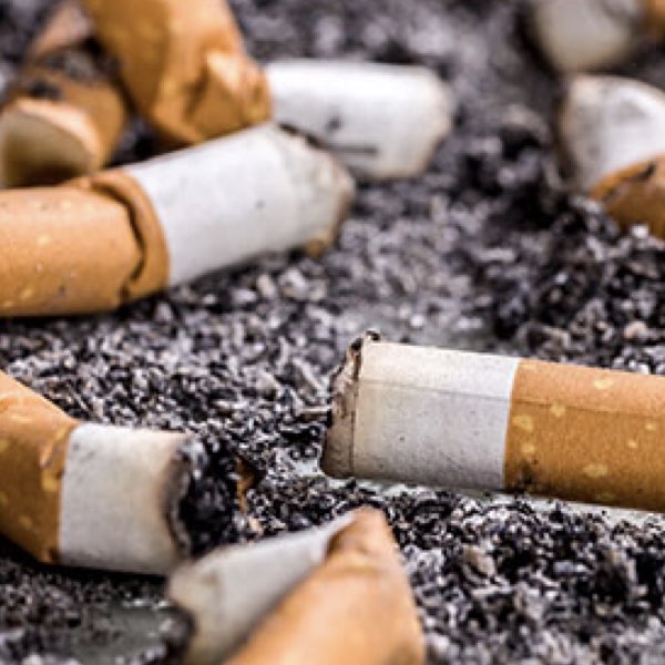 cigarettebutts02